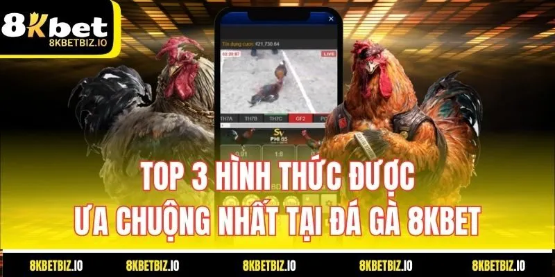 Top 3 hình thức được ưa chuộng nhất tại đá gà 8KBET